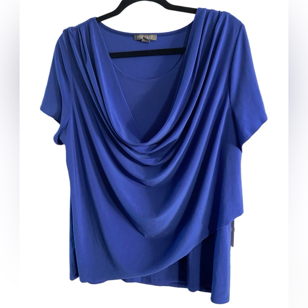 Roz & Ali Blue-Purple Blouse
